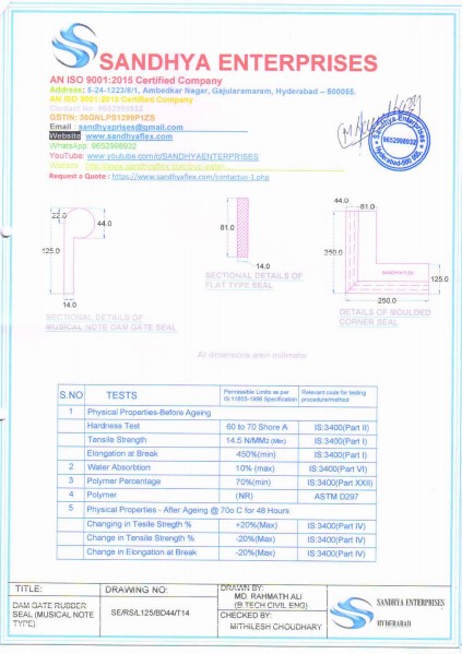 P-Type Msical Note Dam Gate Seal P-Type Msical Note Dam Gate Seal