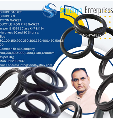 DI Pipe Gasket
